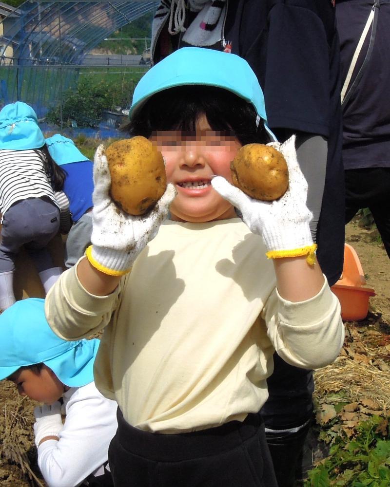 じゃがいも掘り
