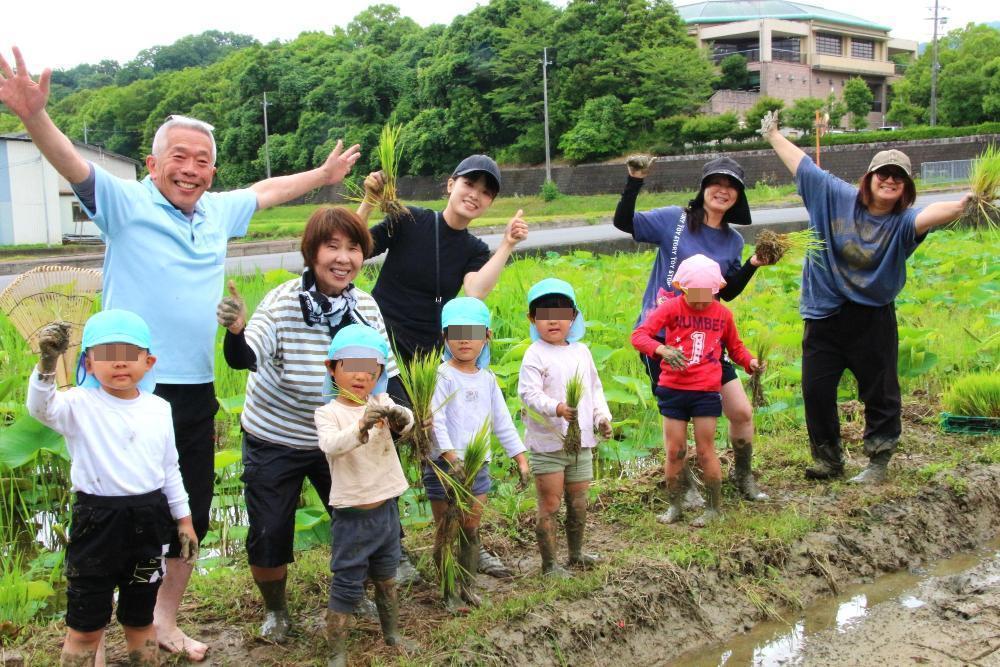 田植え