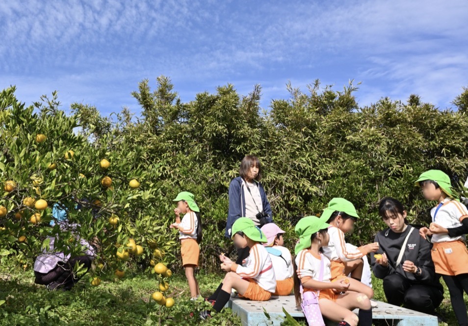 みかん狩り