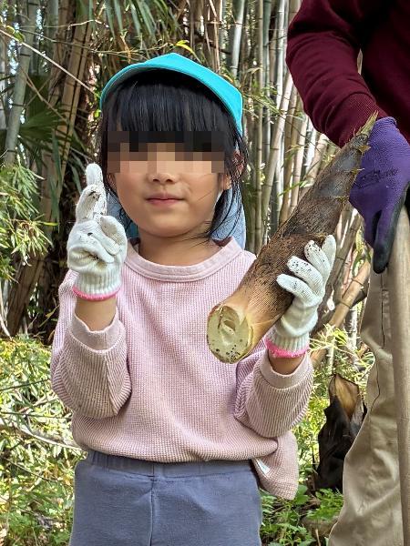 タケノコ掘り