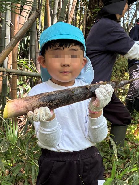 タケノコ掘り