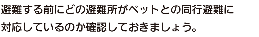 避難する前にどの避難所がペットとの同行避難に対応しているのか確認しておきましょう。