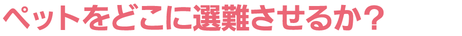 ペットをどこに選難させるか？