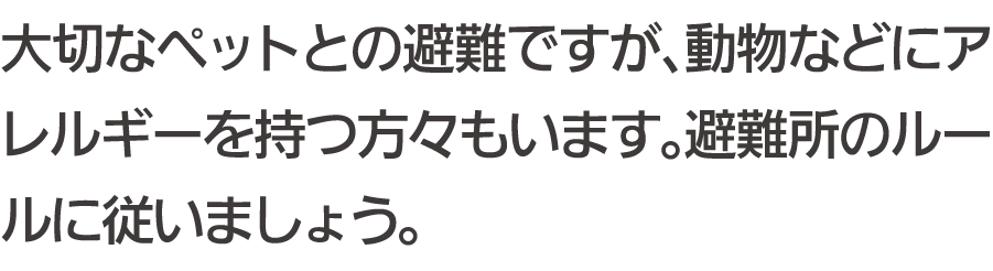 大切なペットとの避難ですが、動物などにアレルギーを持つ方々もいます。避難所のルールに従いましょう。