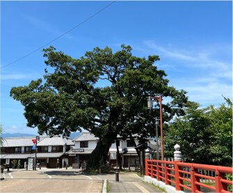 今井町2